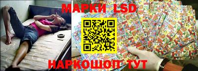 apvp Бийск