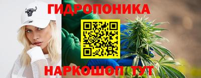 apvp Бийск